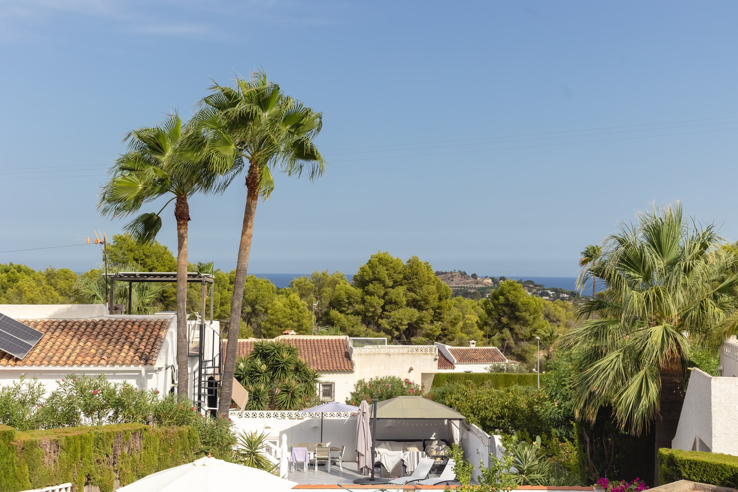 From the solarium, palm trees and the sea